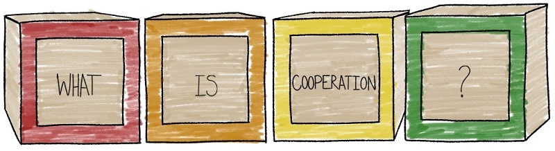 What is Cooperation what is cooperation