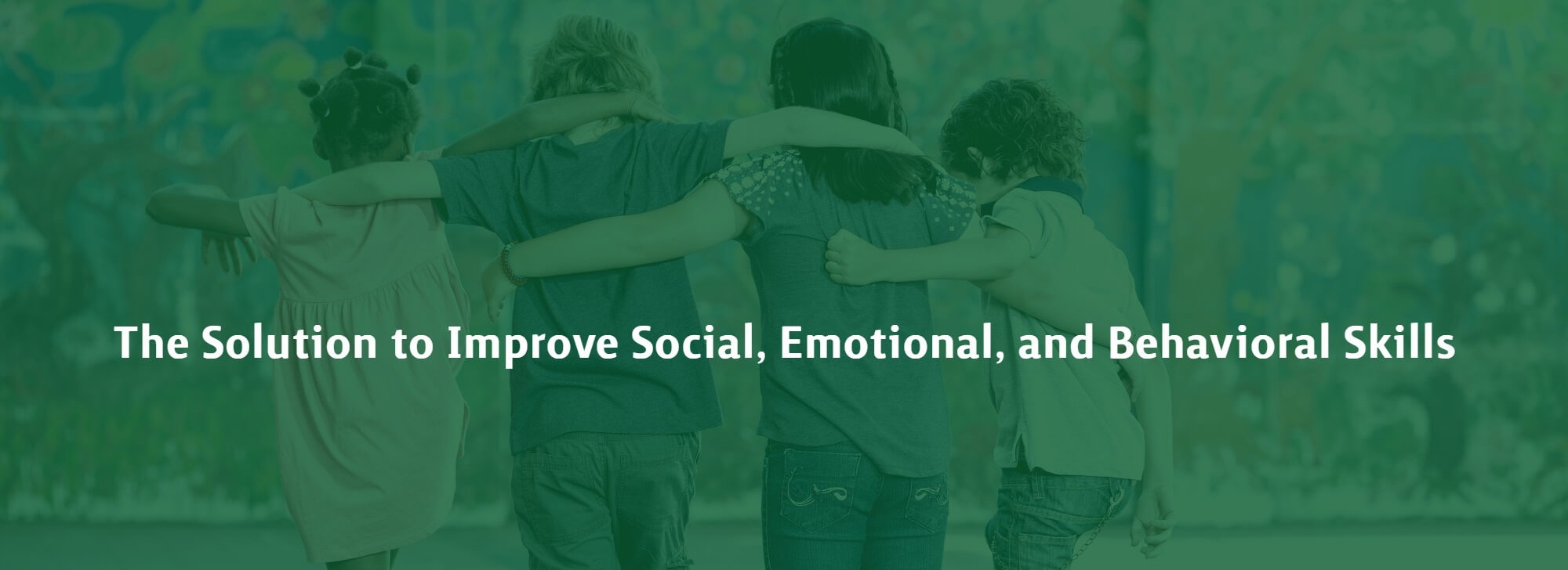 Social Emotional Interventions